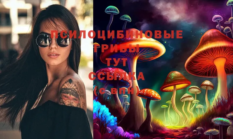 где купить наркоту  Киреевск  mega ССЫЛКА  Галлюциногенные грибы Cubensis 